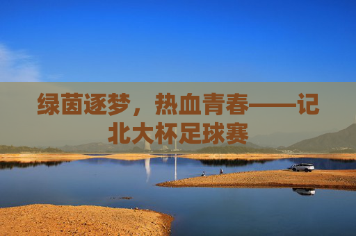 绿茵逐梦，热血青春——记北大杯足球赛
