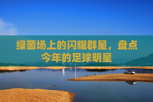 绿茵场上的闪耀群星，盘点今年的足球明星