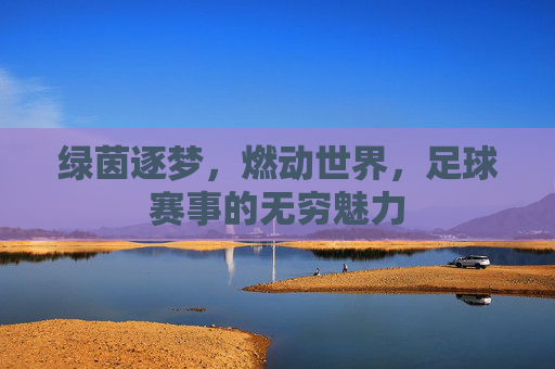 绿茵逐梦，燃动世界，足球赛事的无穷魅力