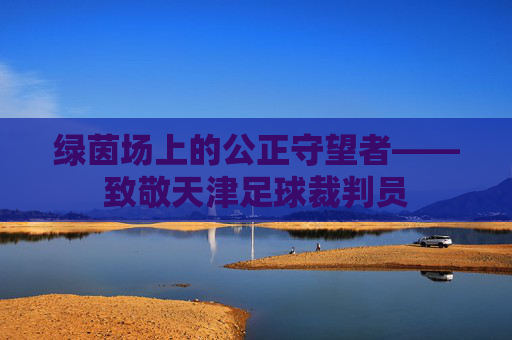 绿茵场上的公正守望者——致敬天津足球裁判员