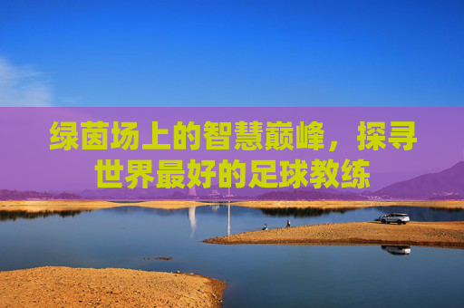 绿茵场上的智慧巅峰，探寻世界最好的足球教练