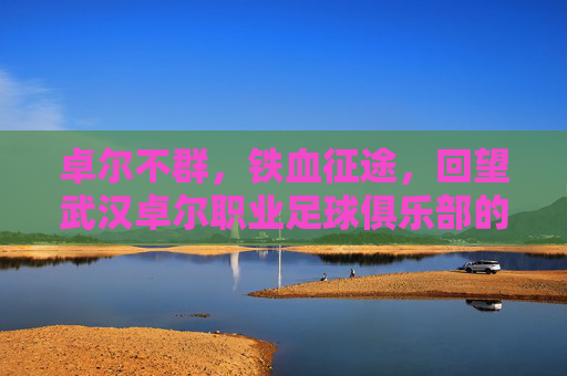 卓尔不群，铁血征途，回望武汉卓尔职业足球俱乐部的奋斗岁月