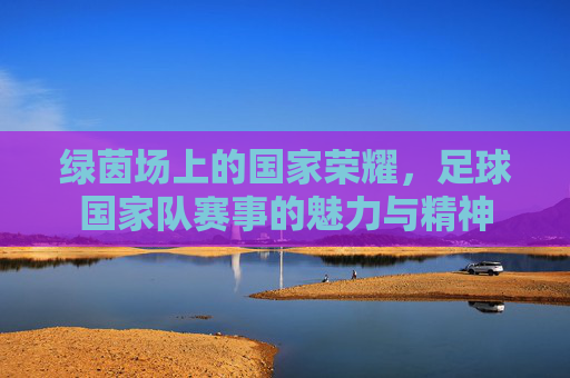 绿茵场上的国家荣耀，足球国家队赛事的魅力与精神