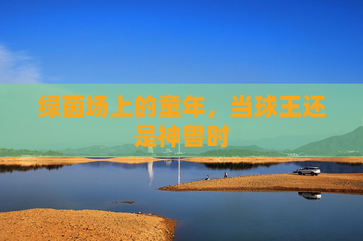 绿茵场上的童年，当球王还是神兽时