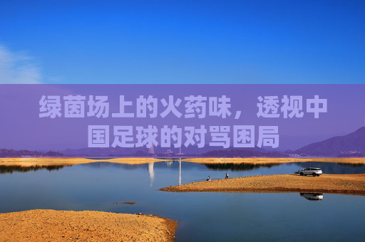 绿茵场上的火药味，透视中国足球的对骂困局