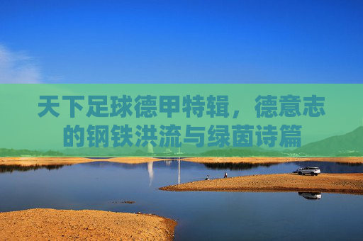 天下足球德甲特辑，德意志的钢铁洪流与绿茵诗篇