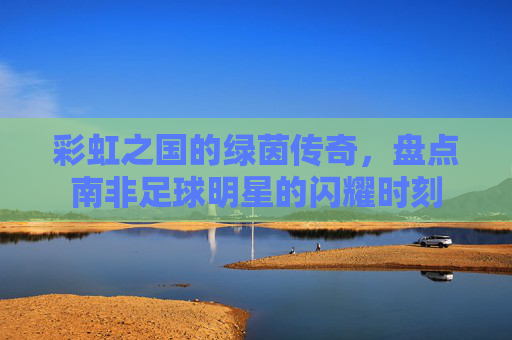彩虹之国的绿茵传奇，盘点南非足球明星的闪耀时刻