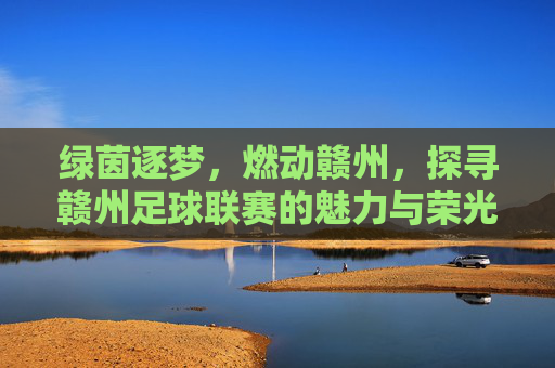 绿茵逐梦，燃动赣州，探寻赣州足球联赛的魅力与荣光