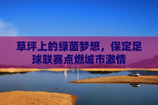 草坪上的绿茵梦想，保定足球联赛点燃城市激情