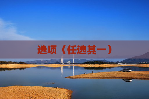 选项（任选其一）