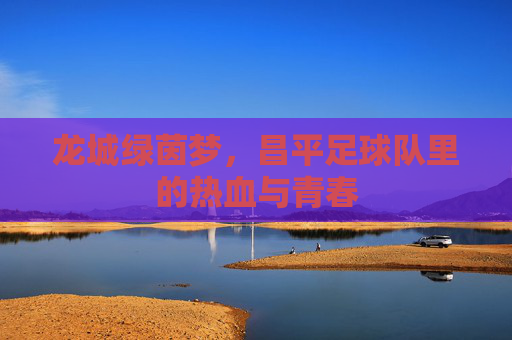 龙城绿茵梦，昌平足球队里的热血与青春