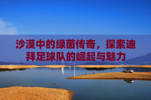 沙漠中的绿茵传奇，探索迪拜足球队的崛起与魅力
