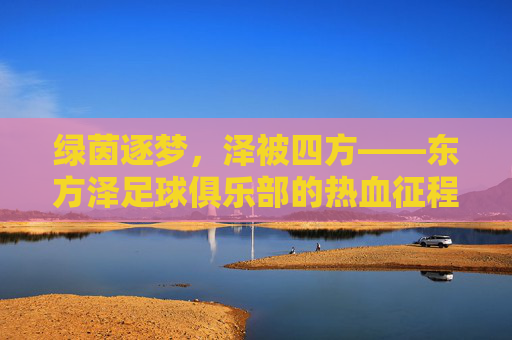 绿茵逐梦，泽被四方——东方泽足球俱乐部的热血征程