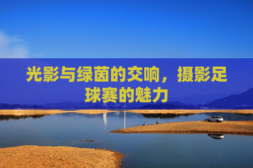 光影与绿茵的交响，摄影足球赛的魅力