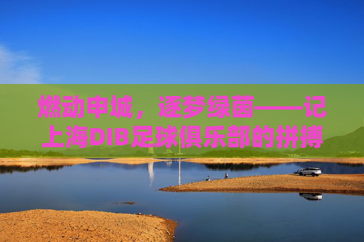 燃动申城，逐梦绿茵——记上海DIB足球俱乐部的拼搏之路
