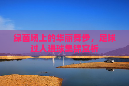 绿茵场上的华丽舞步，足球过人进球集锦赏析