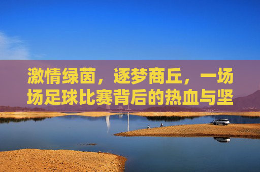 激情绿茵，逐梦商丘，一场场足球比赛背后的热血与坚守