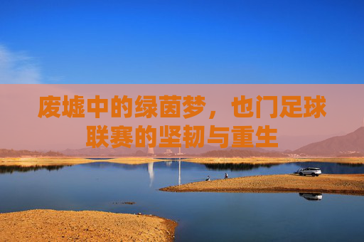 废墟中的绿茵梦，也门足球联赛的坚韧与重生