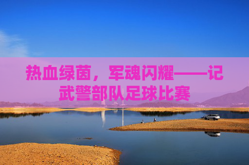 热血绿茵，军魂闪耀——记武警部队足球比赛