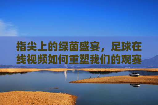指尖上的绿茵盛宴，足球在线视频如何重塑我们的观赛体验