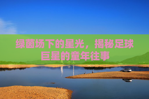 绿茵场下的星光，揭秘足球巨星的童年往事