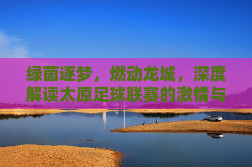 绿茵逐梦，燃动龙城，深度解读太原足球联赛的激情与魅力