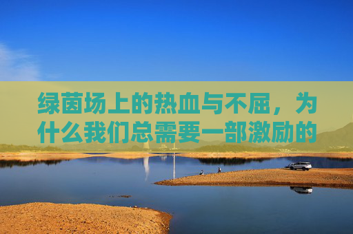 绿茵场上的热血与不屈，为什么我们总需要一部激励的足球视频