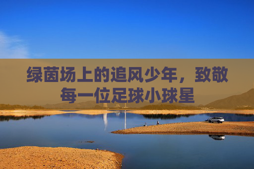 绿茵场上的追风少年，致敬每一位足球小球星