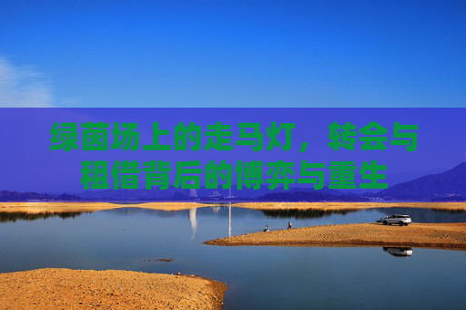 绿茵场上的走马灯，转会与租借背后的博弈与重生