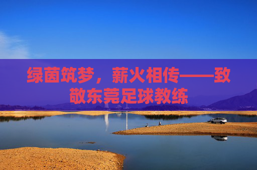 绿茵筑梦，薪火相传——致敬东莞足球教练
