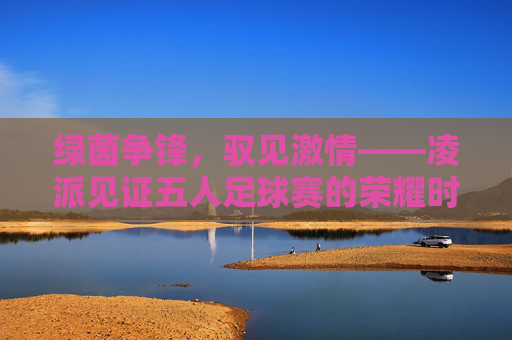 绿茵争锋，驭见激情——凌派见证五人足球赛的荣耀时刻