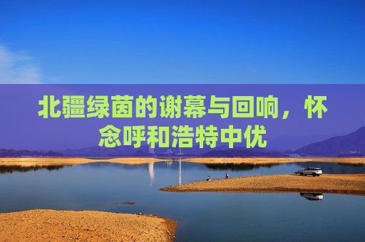 北疆绿茵的谢幕与回响，怀念呼和浩特中优