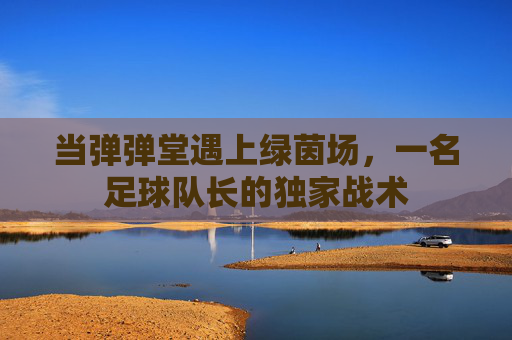 当弹弹堂遇上绿茵场，一名足球队长的独家战术