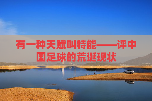 有一种天赋叫特能——评中国足球的荒诞现状