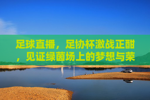 足球直播，足协杯激战正酣，见证绿茵场上的梦想与荣耀