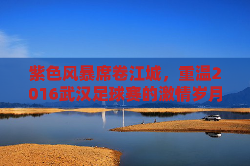 紫色风暴席卷江城，重温2016武汉足球赛的激情岁月