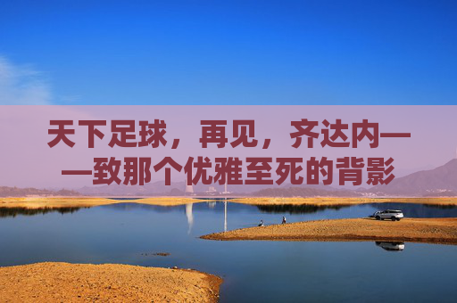 天下足球，再见，齐达内——致那个优雅至死的背影