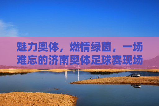 魅力奥体，燃情绿茵，一场难忘的济南奥体足球赛现场直击