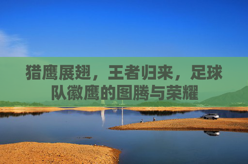 猎鹰展翅，王者归来，足球队徽鹰的图腾与荣耀