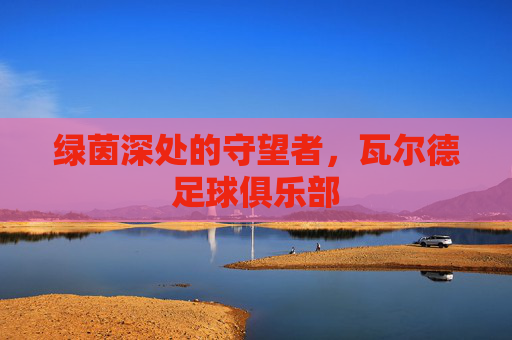绿茵深处的守望者，瓦尔德足球俱乐部