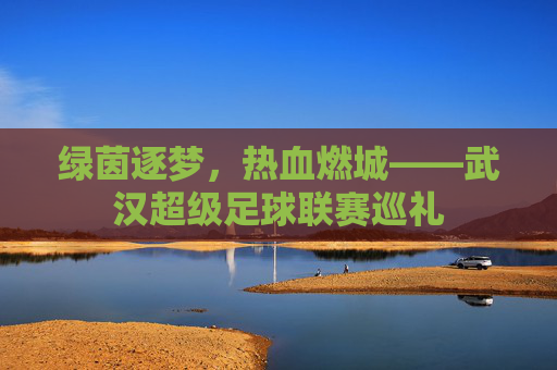 绿茵逐梦，热血燃城——武汉超级足球联赛巡礼