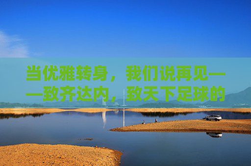 当优雅转身，我们说再见——致齐达内，致天下足球的独家记忆