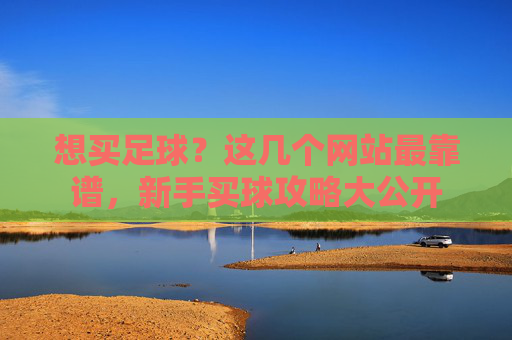 想买足球？这几个网站最靠谱，新手买球攻略大公开