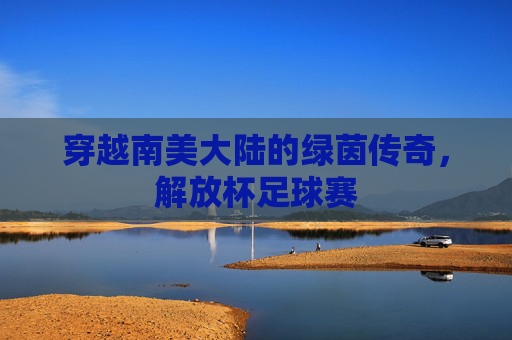 穿越南美大陆的绿茵传奇，解放杯足球赛