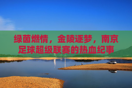 绿茵燃情，金陵逐梦，南京足球超级联赛的热血纪事