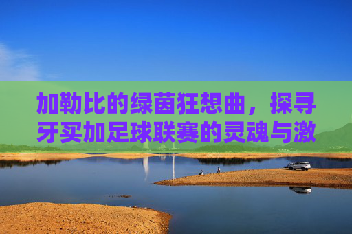 加勒比的绿茵狂想曲，探寻牙买加足球联赛的灵魂与激情