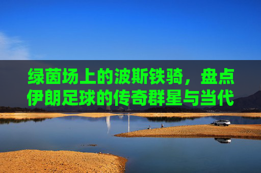绿茵场上的波斯铁骑，盘点伊朗足球的传奇群星与当代巨星
