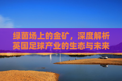 绿茵场上的金矿，深度解析英国足球产业的生态与未来