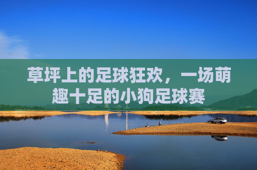 草坪上的足球狂欢，一场萌趣十足的小狗足球赛