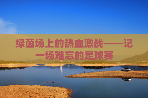 绿茵场上的热血激战——记一场难忘的足球赛